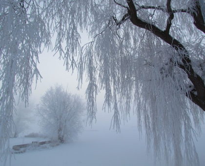 Image source: http://maxpixel.freegreatpicture.com/Snowy-Freeze-Ice-Frozen-Cold-Winter-Snow-Fog-2122507