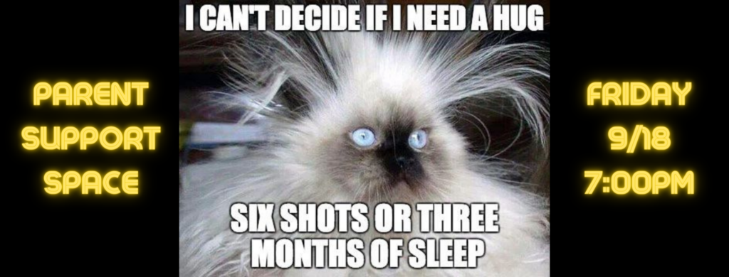 cat with wild hair saying "I can't decide if I need a hug, six shots, or three months of sleep"